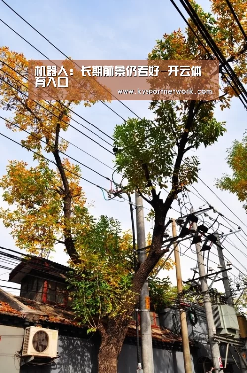 KAIYUN中国站