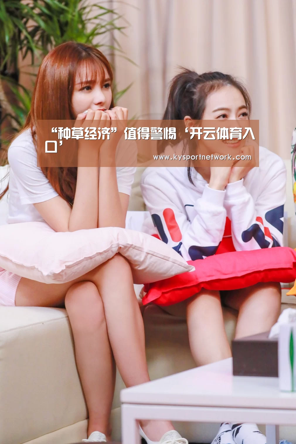 KAIYUN中国站