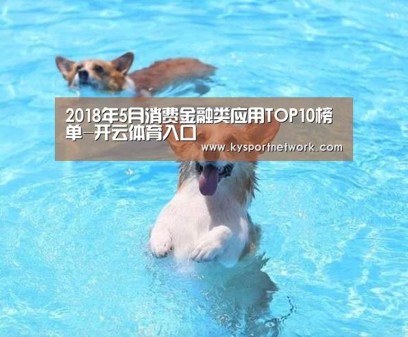 开云体育入口