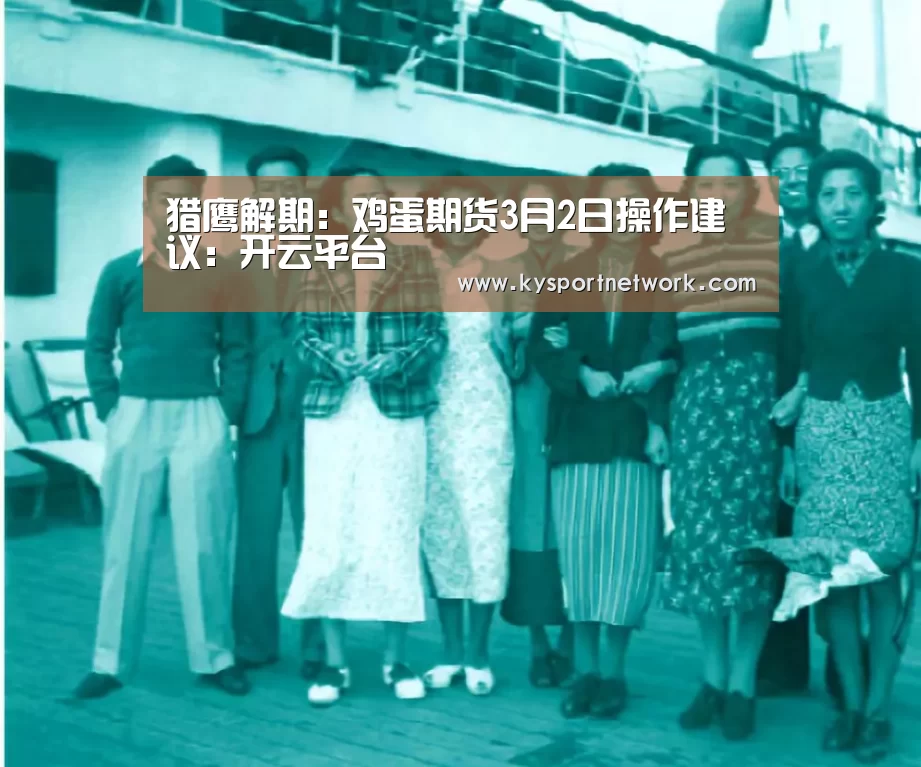 猎鹰解期:鸡蛋期货3月2日操作建议:开云平台(图2) 开云体育数据中心