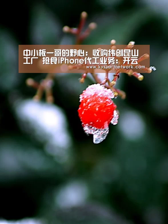 开云体育数据中心