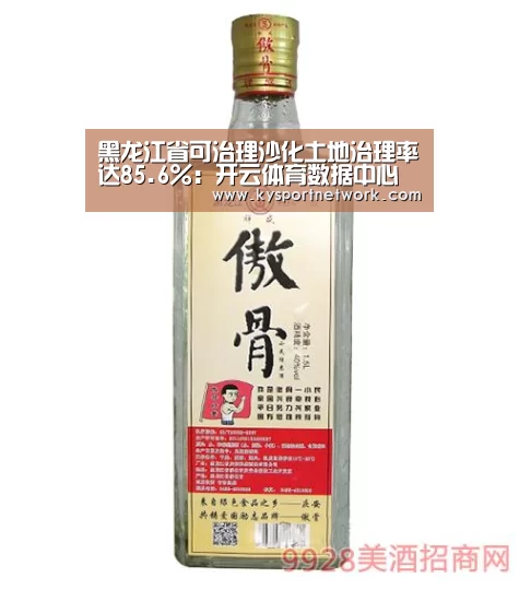 黑龙江省可治理沙化土地治理率达85.6%:开云体育数据中心(图1) 开云平台